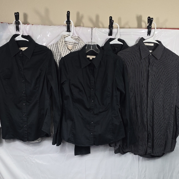 Perry Ellis Tops - Women's 5 Shirt Collection In Medium 1-Perry Ellis, 1-Mossimo, 3-Merona (W539)